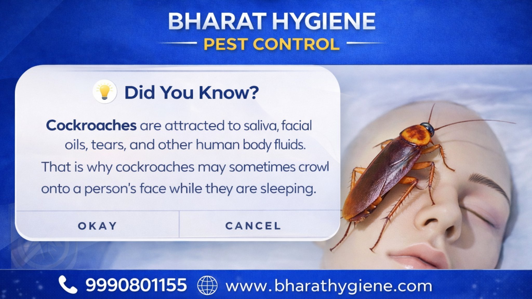 Cockroach crawling on a sleeping person's face showing the dangers of cockroach infestation at home – Bharat Hygiene Pest Control