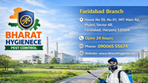 pest control service in faridabad haryana by bharat hygiene pest control termite cockroach rodent bed bug treatment
