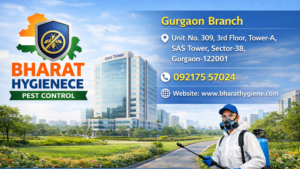 pest control service in gurgaon by bharat hygiene pest control termite cockroach rodent bed bug treatment