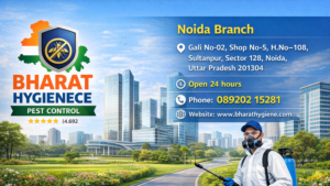 Pest Control Service in Noida | Bharat Hygiene Pest Control pest control service in noida sector 128 by bharat hygiene pest control termite cockroach rodent treatment