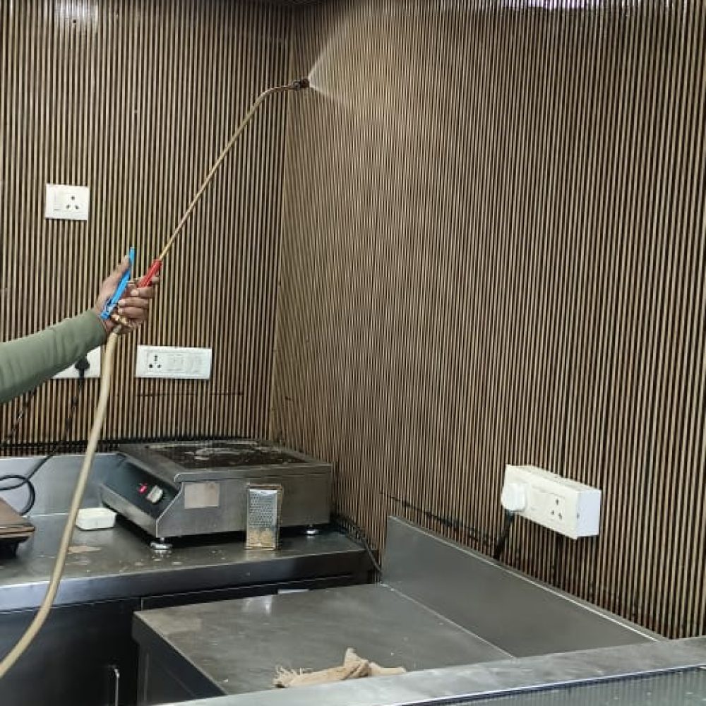 WhatsApp Image 2024-12-27 at 13.39.21