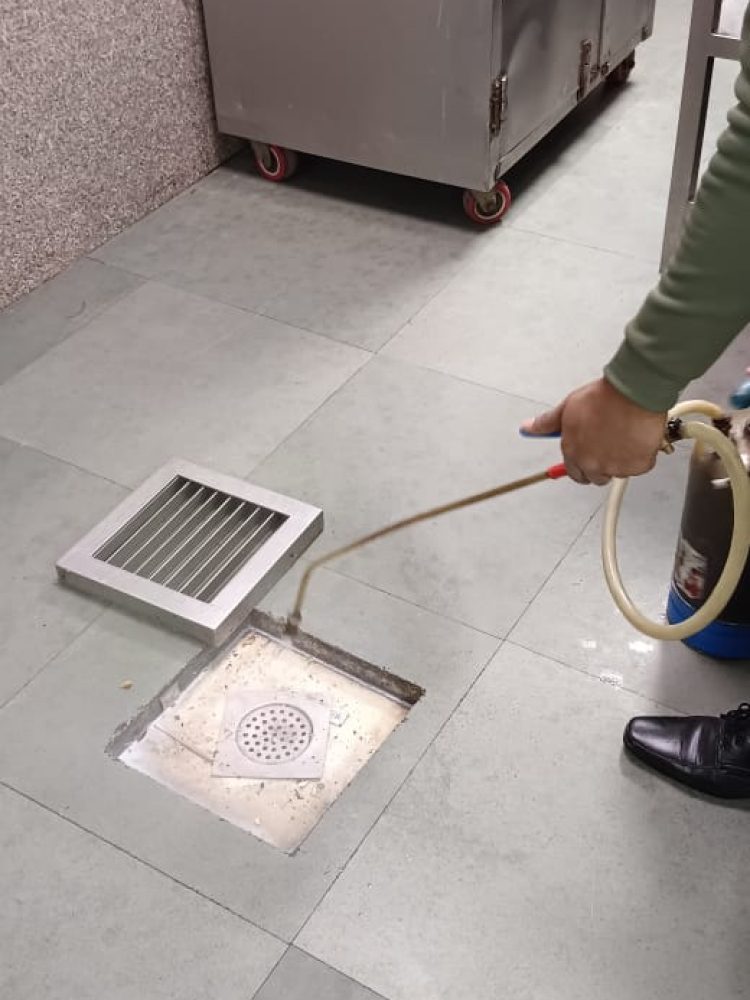 WhatsApp Image 2024-12-27 at 13.39.50