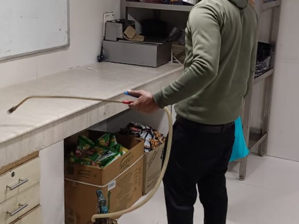 WhatsApp Image 2024-12-27 at 13.43.49